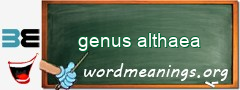 WordMeaning blackboard for genus althaea